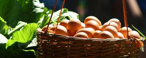 Y tú, ¿comes huevos camperos o huevos de ciudad?