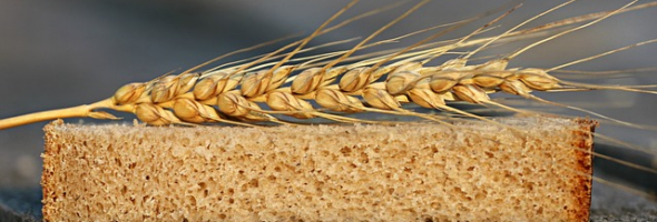 ¿Qué puede hacer la fibra por tu salud gastrointestinal?