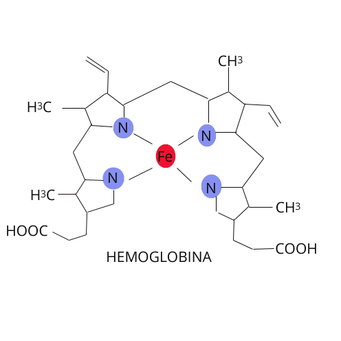 hemoglobina