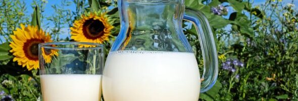 ¿Cómo elijo la mejor leche?