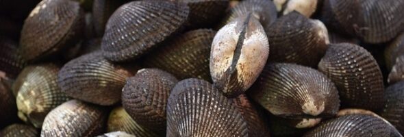 ¿Tengo alergia al marisco o he sufrido una intoxicación?