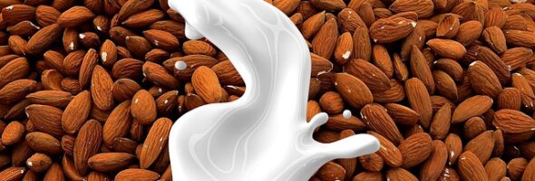 ¿Qué bebida vegetal es mejor para sustituir a la leche de vaca?