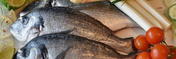¿De dónde sale el pescado que comemos?