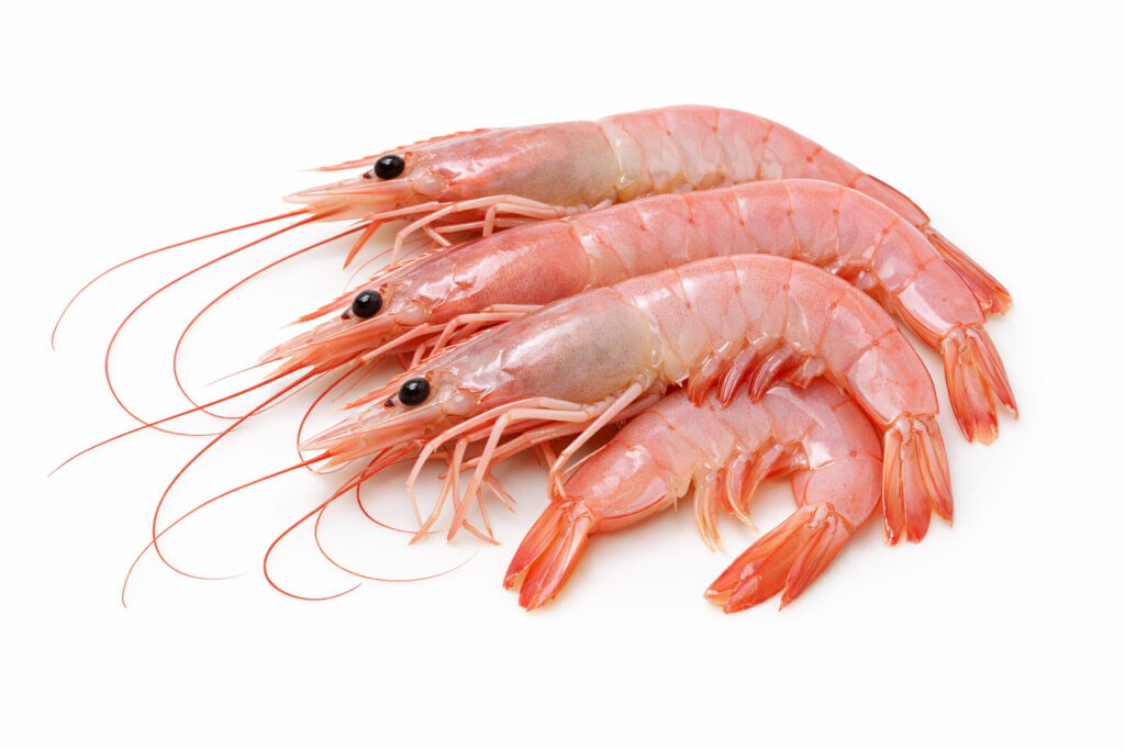gambas